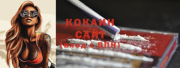 прущие грибы Богородицк