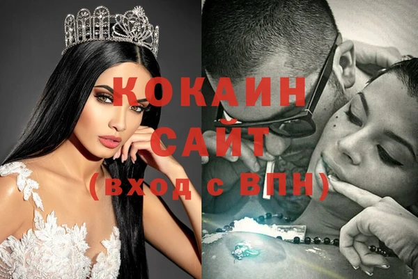 прущие грибы Богородицк