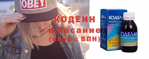 прущие грибы Богородицк