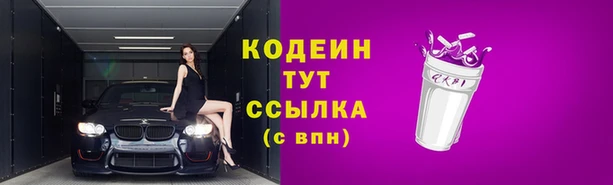 прущие грибы Богородицк