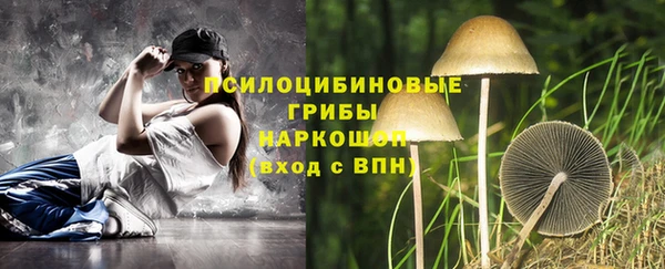 прущие грибы Богородицк