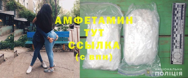 прущие грибы Богородицк