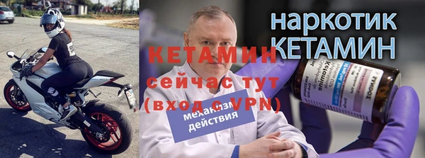 прущие грибы Богородицк