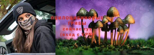 apvp Тихвин