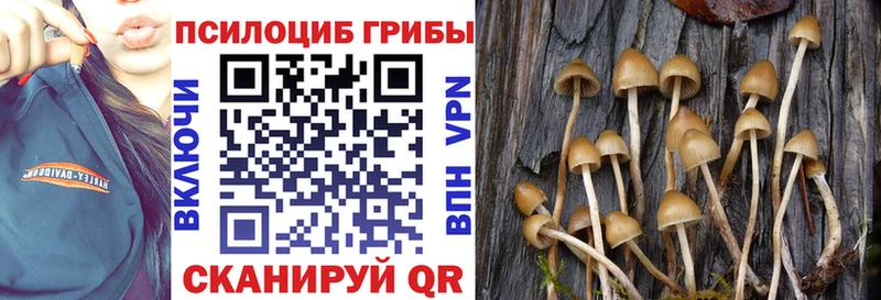 Псилоцибиновые грибы Magic Shrooms  как найти закладки  нарко площадка формула  Коркино 
